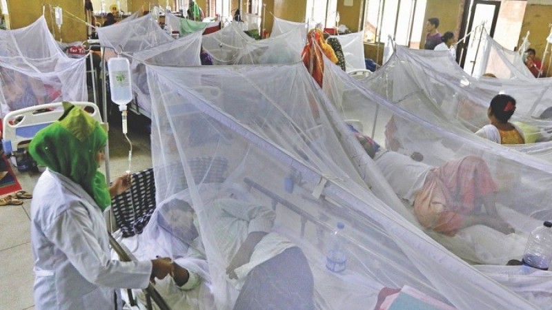 ২৪ ঘণ্টায় ২৫৭ ডেঙ্গু রোগী হাসপাতালে ভর্তি