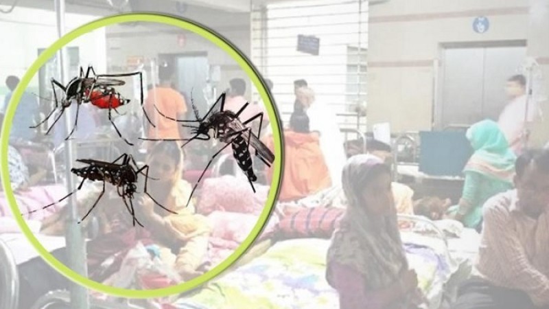 ডেঙ্গু নিয়ে হাসপাতালে আরও ৪৪০, মৃত্যু নেই