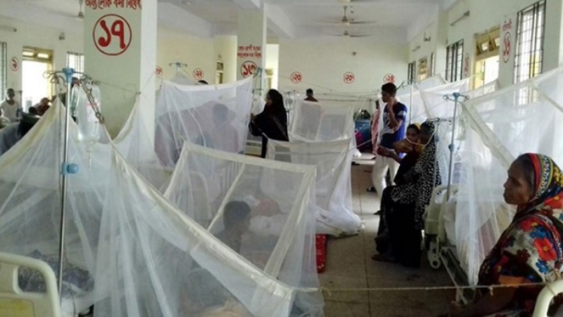 ডেঙ্গুতে নতুন করে ৩৪৩ জন আক্রান্ত