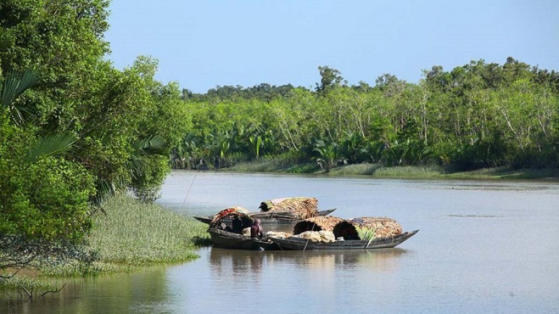 আসছে শীত, ডাকছে সুন্দরবন!