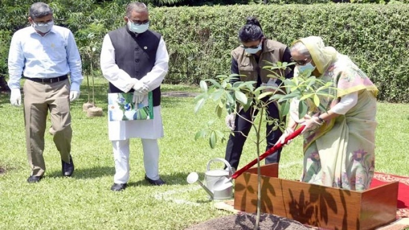 জলবায়ু পরিবর্তন থেকে বাঁচতে বেশি করে গাছ লাগান : প্রধানমন্ত্রী