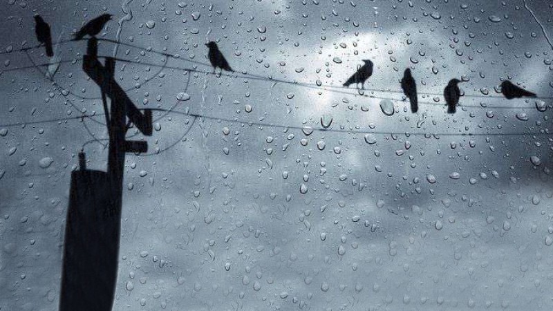 দেশের ৬ বিভাগে ঝড়-বৃষ্টির সম্ভাবনা