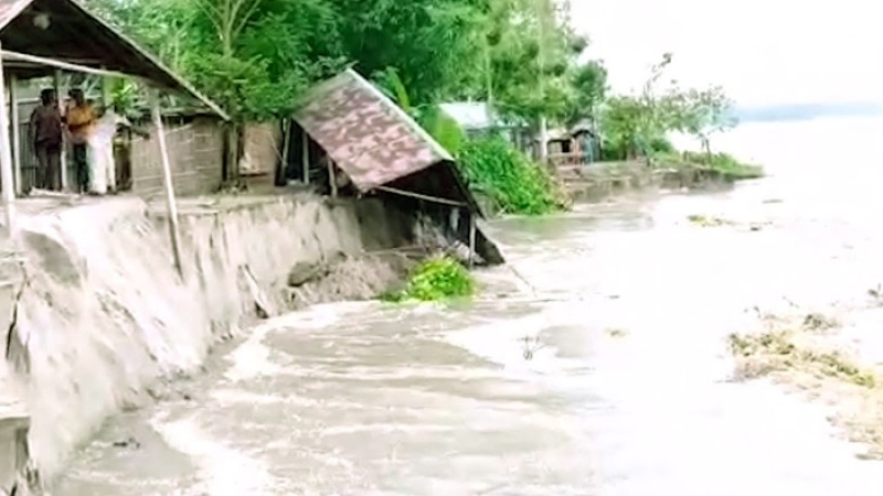 যমুনার পেটে শাহজাদপুরের ৫০ বাড়িঘর