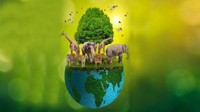 বিশ্ব জীববৈচিত্র্য দিবস আজ