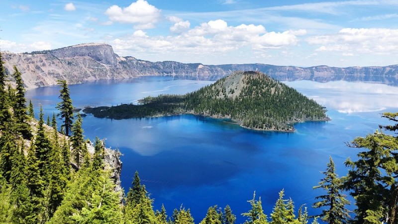 বাঁচার লড়াই তীব্র হচ্ছে কাশ্মিরিদের