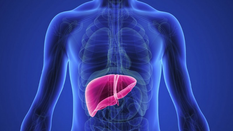 দেশে করোনার চেয়ে বেশি মৃত্যু হেপাটাইটিসে