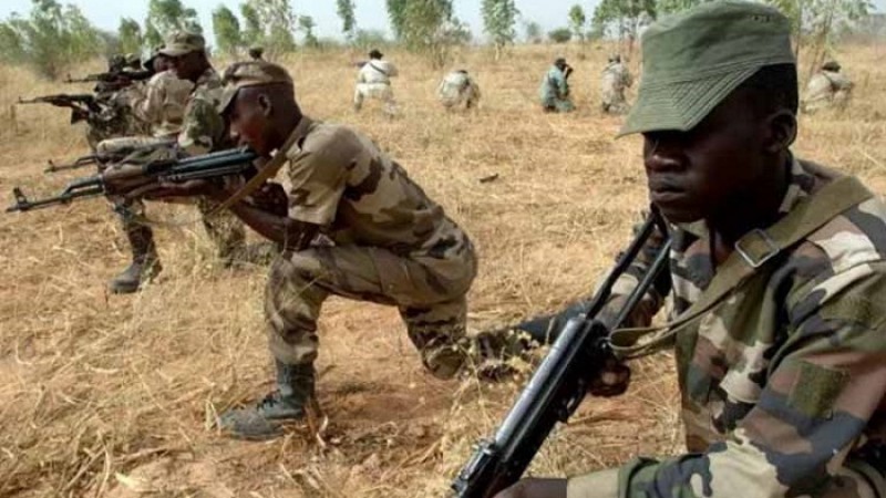 নাইজারে সন্ত্রাসী হামলায় ৭৯ জন নিহত