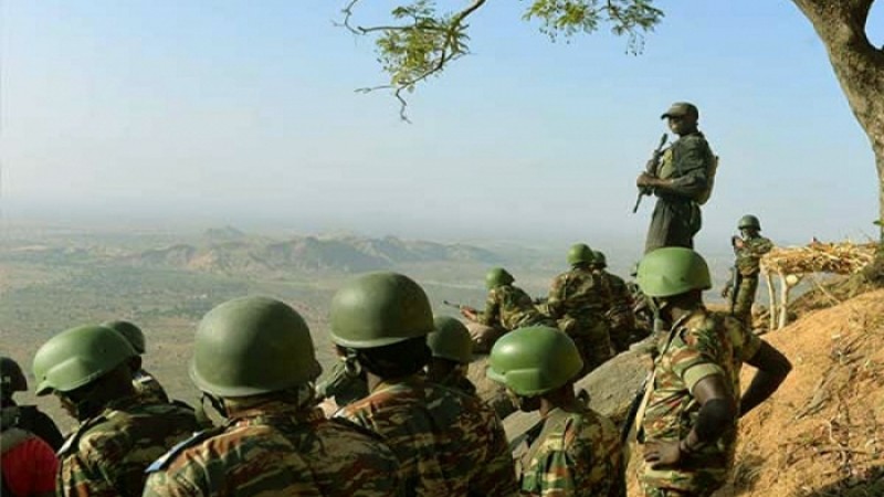 বিদ্রোহীদের হামলায় ক্যামেরুনে ১৫ সেনা নিহত