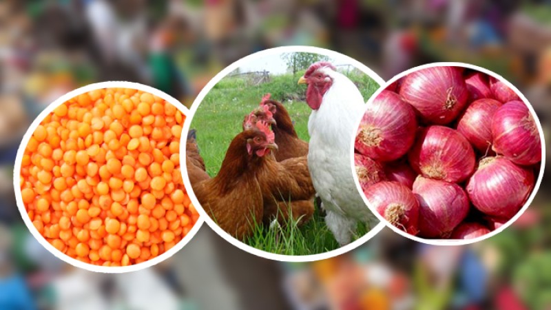 সপ্তাহের ব্যবধানে কমেছে মুরগি ও পেঁয়াজের দাম