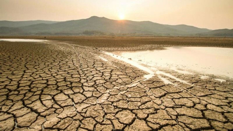 নজিরবিহীন খরায় বিপর্যস্ত ইউরোপ