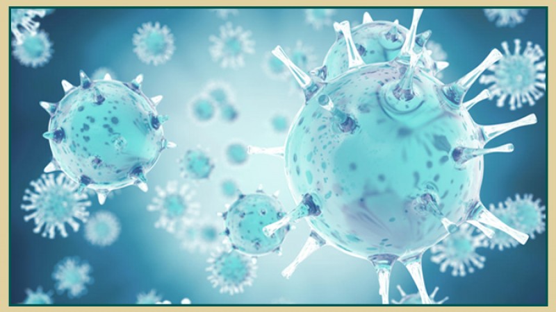 করোনা কেড়ে নিল আরও ৯ সহস্রাধিক প্রাণ