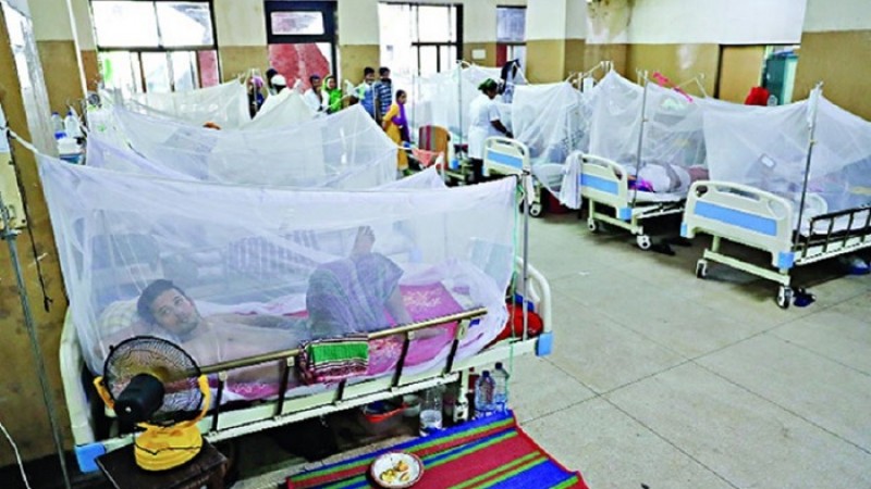 একদিনে আরও ১৪৩ ডেঙ্গু রোগী হাসপাতালে ভর্তি