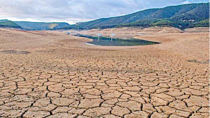 ইউরোপে ৫০০ বছরের মধ্যে সবচেয়ে ভয়াবহ খরা