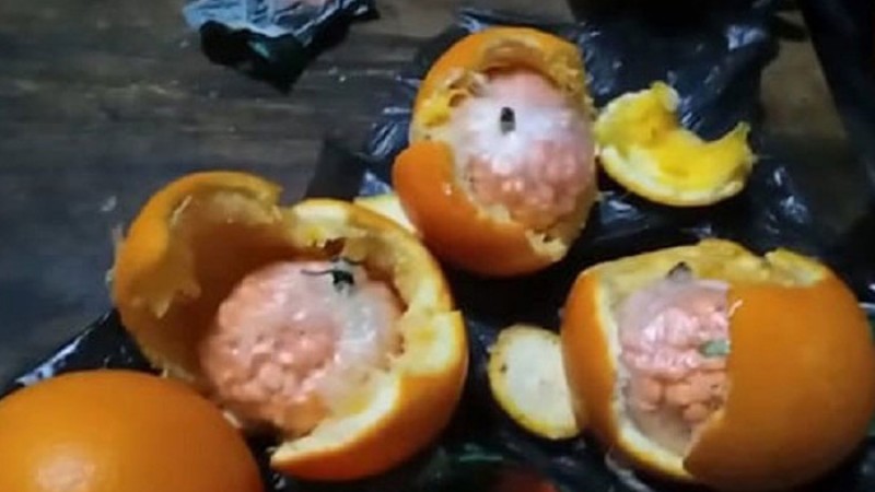 মাল্টার ভেতরে ইয়াবা বহন, মাদককারবারি গ্রেফতার