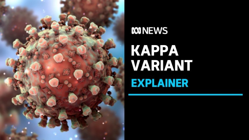 দুজনের শরীরে করোনার ‘কাপ্পা’ প্রজাতির সংক্রমণ