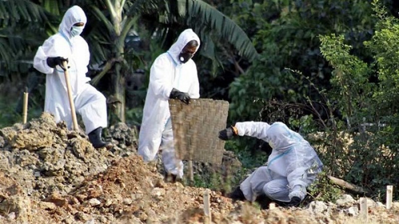 করোনায় আরও ৩১ জনের মৃত্যু, শনাক্ত ১৩৫৮