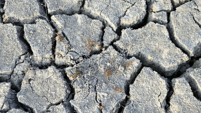 আট বছরে বৈশ্বিক তাপমাত্রা বৃদ্ধির নতুন রেকর্ড