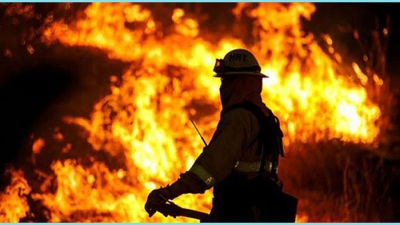 প্লাস্টিক কারখানায় আগুন, নিহত ৫