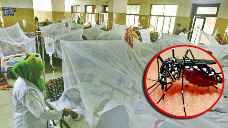 সারাদেশে নতুন করে ২৬৭ জন ডেঙ্গু আক্রান্ত