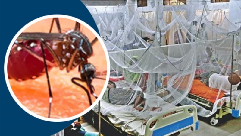 ডেঙ্গুতে আরও ৫ মৃত্যু, নতুন ভর্তি ৮২০