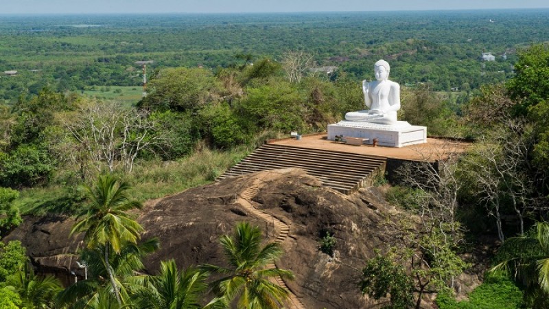 ঘুরে দাঁড়াচ্ছে শ্রীলঙ্কা, কমছে মূল্যস্ফীতি