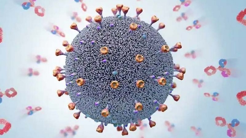 ২৪ ঘণ্টায় করোনায় মৃত্যু ও শনাক্ত বেড়েছে