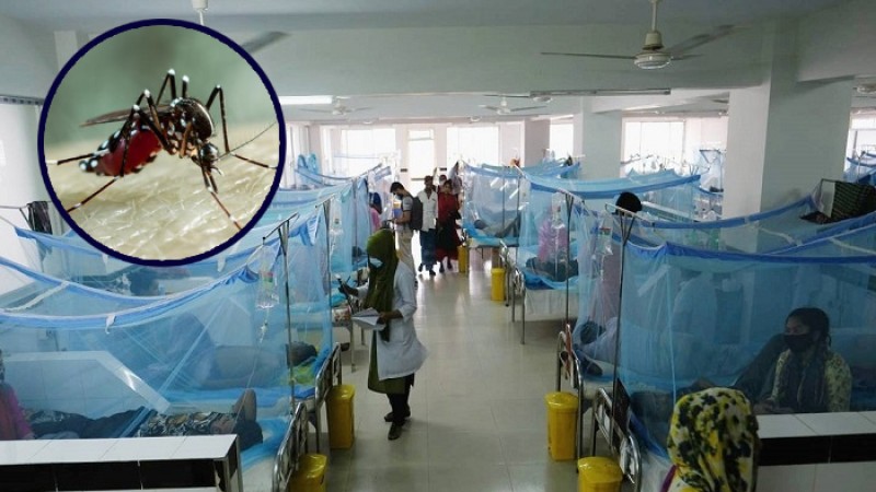 ডেঙ্গুতে আরও ৫ মৃত্যু, হাসপাতালে ভর্তি ৮৭৩