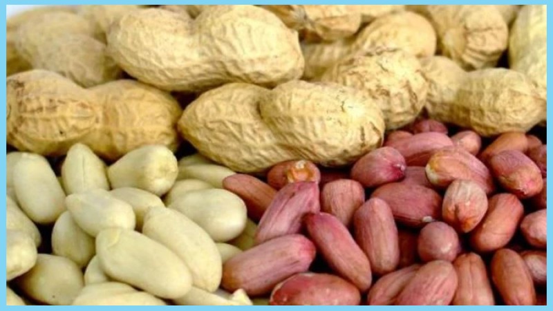 কাঁচা নাকি ভাজা বাদাম, শরীরের জন্য কোনটা বেশি উপকারী?