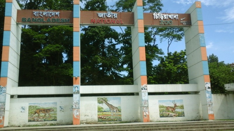 ৫ মাস পর খুলেছে চিড়িয়াখানা