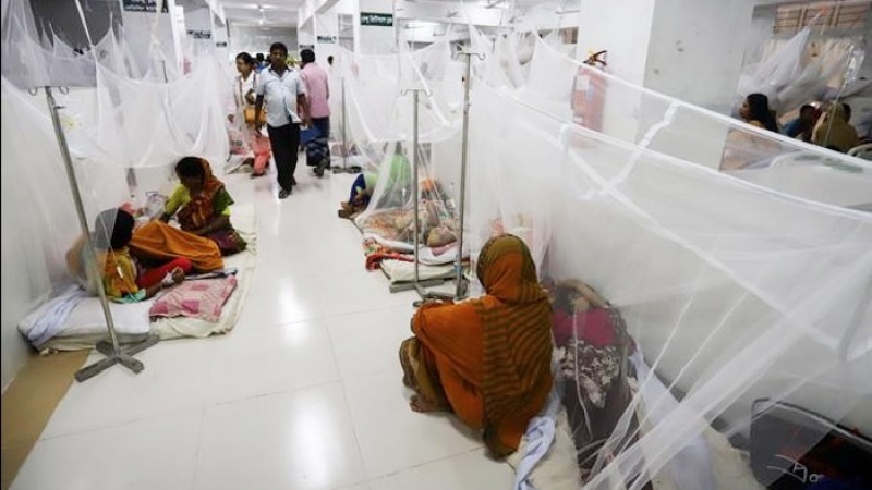 ডেঙ্গু আক্রান্ত হয়ে আরও ২৪১ জন হাসপাতালে