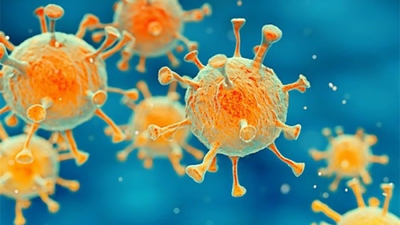 করোনায় দুইজনের মৃত্যু, শনাক্ত ২০৭