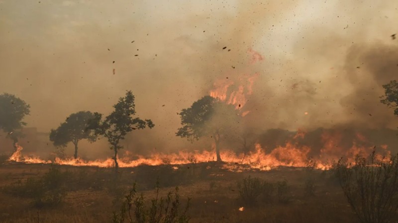 স্পেনে ১০ দিনের দাবদাহে পাঁচ শতাধিক প্রাণহানি