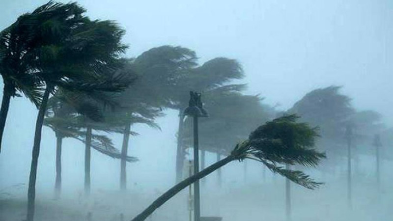 ভারতের বিহারে ঝড়, ১৬ জেলায় অন্তত ৩৩ জনের মৃত্যু