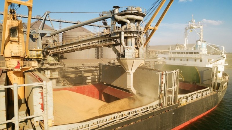 ইউক্রেনের শস্য রপ্তানির লক্ষ্যমাত্রা কি পূরণ হবে?