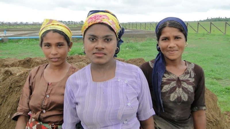 ফেসবুকের উচিত রোহিঙ্গাদের ক্ষতিপূরণ দেওয়া: অ্যামনেস্টি