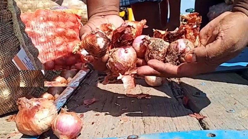 পেঁয়াজের জন্য ভারতের ওপর নির্ভরতা কমানোর সুপারিশ