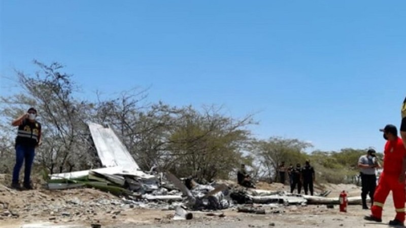 পেরুতে পর্যটকবাহী প্লেন বিধ্বস্ত, নিহত সব আরোহী