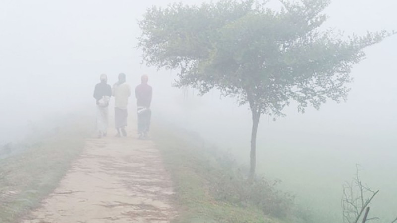 ২ জেলায় মৃদু শৈত্যপ্রবাহ, তাপমাত্রা ১০ ডিগ্রির নিচে