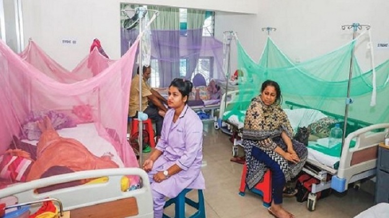 ডেঙ্গু : ২৪ ঘণ্টায় আরও ৩০৬ জন হাসপাতালে ভর্তি