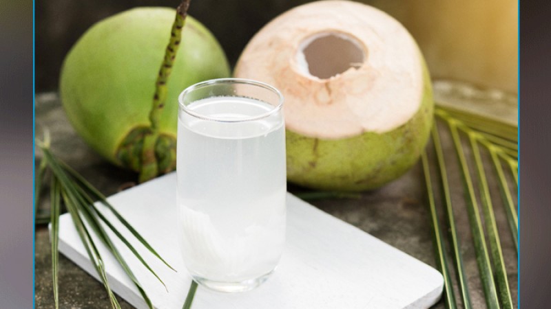 সকালে খালি পেটে ডাবের পানি কেন খাবেন?