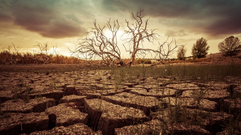 অর্থনৈতিক ঝুঁকি মোকাবেলায় চাপ দিচ্ছেন বিনিয়োগকারীরা