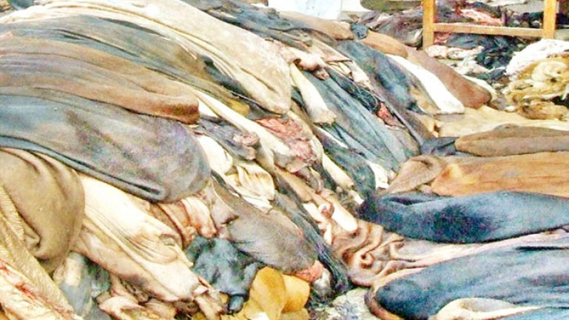 কোরবানির পশুর চামড়ার মূল্য নির্ধারণ