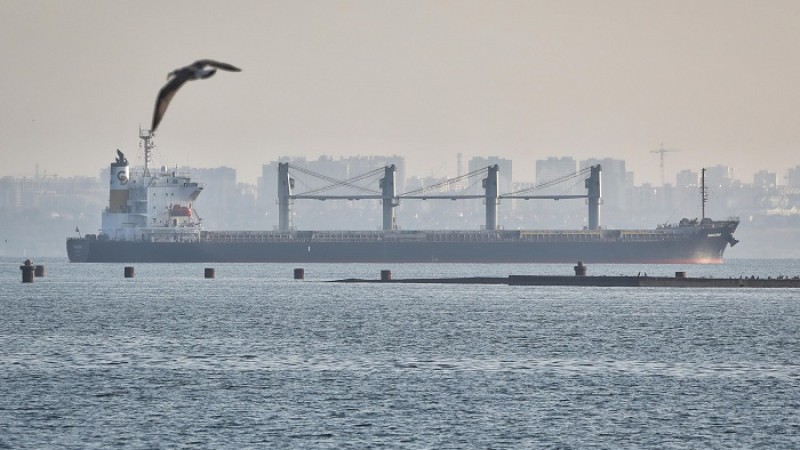 তেল-শস্য নিয়ে আরও চার জাহাজ ইউক্রেন ছাড়লো