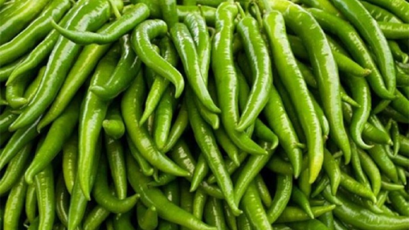 এক দিনের ব্যবধানে ৪০ টাকার কাঁচামরিচ ১৬০ টাকা