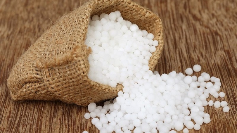 ডলার সংকট: সার আমদানি ব্যাহত হওয়ার আশঙ্কা