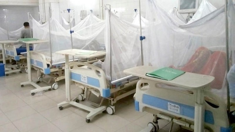 ডেঙ্গু : ২৪ ঘণ্টায় ১৯০ রোগী হাসপাতালে, মৃত্যু ১