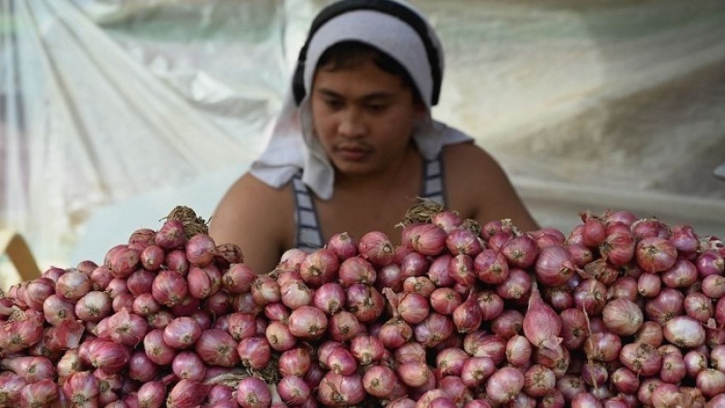 ফিলিপাইনে বিলাসী পণ্যের তালিকায় পেঁয়াজ