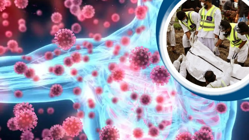 ২৪ ঘন্টায় আরও ২০৩ জনের মৃত্যু, শনাক্ত ১২১৯৮