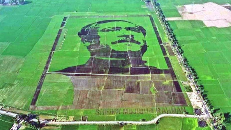 গিনেজ ওয়ার্ল্ড রেকর্ডসের সব শর্ত পূরণ করেছে  শস্যচিত্রে বঙ্গবন্ধু