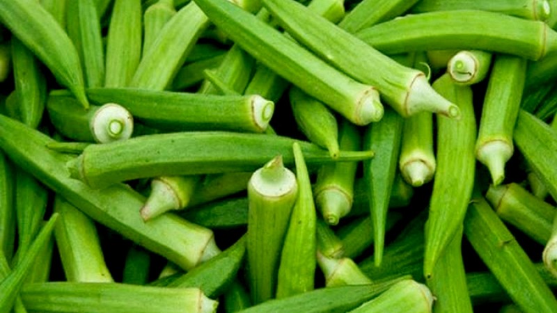 ঢেঁড়শ কী ভাবে যত্ন নেয় শরীরের?